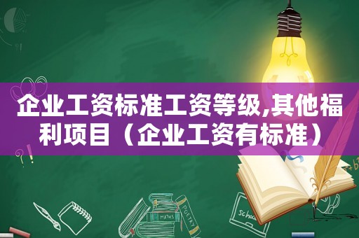 企業(yè)工資標(biāo)準(zhǔn)工資等級,其他福利項目（企業(yè)工資有標(biāo)準(zhǔn)）