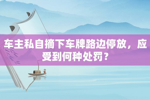 車主私自摘下車牌路邊停放，應(yīng)受到何種處罰？