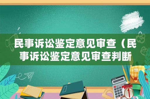 民事訴訟鑒定意見審查（民事訴訟鑒定意見審查判斷標(biāo)準(zhǔn)）