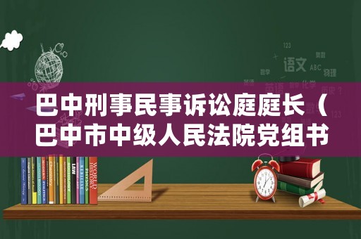 巴中刑事民事訴訟庭庭長（巴中市中級人民法院黨組書記）
