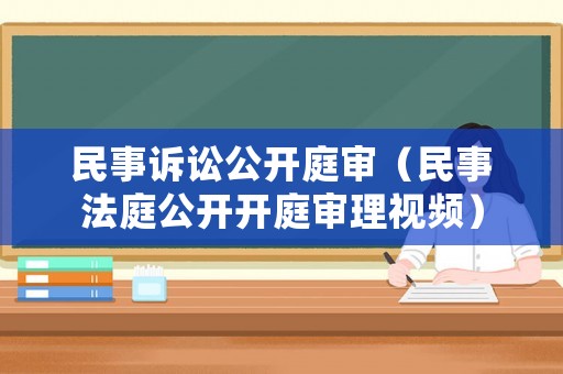 民事訴訟公開庭審（民事法庭公開開庭審理視頻）