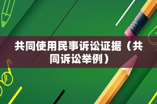 共同使用民事訴訟證據(jù)（共同訴訟舉例）