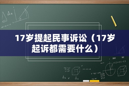 17歲提起民事訴訟（17歲起訴都需要什么）