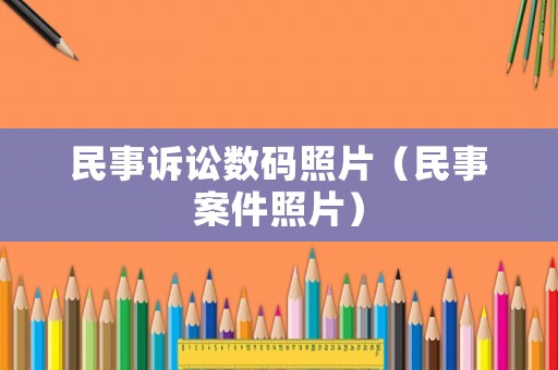 民事訴訟數(shù)碼照片（民事案件照片）