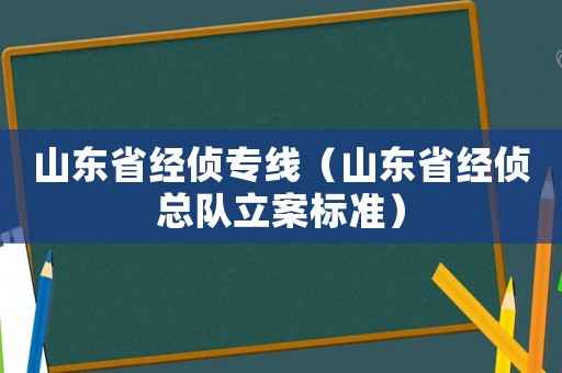 山東省經(jīng)偵專線（山東省經(jīng)偵總隊立案標準）