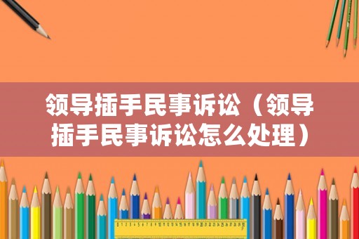 領(lǐng)導(dǎo)插手民事訴訟（領(lǐng)導(dǎo)插手民事訴訟怎么處理）