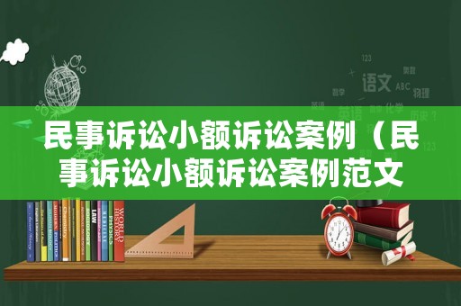 民事訴訟小額訴訟案例（民事訴訟小額訴訟案例范文）
