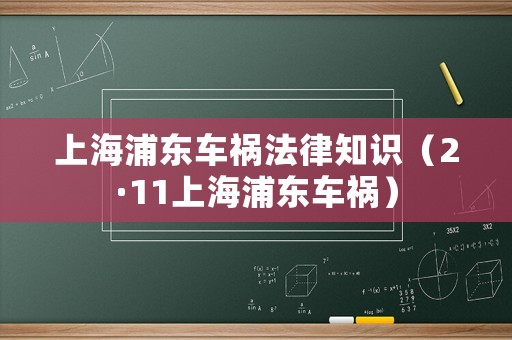 上海浦東車(chē)禍法律知識(shí)（2·11上海浦東車(chē)禍）