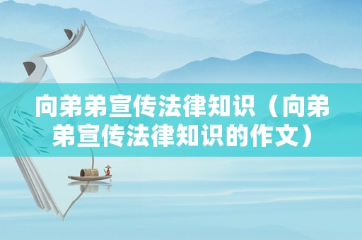 向弟弟宣傳法律知識(shí)（向弟弟宣傳法律知識(shí)的作文）