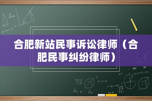 合肥新站民事訴訟律師（合肥民事糾紛律師）
