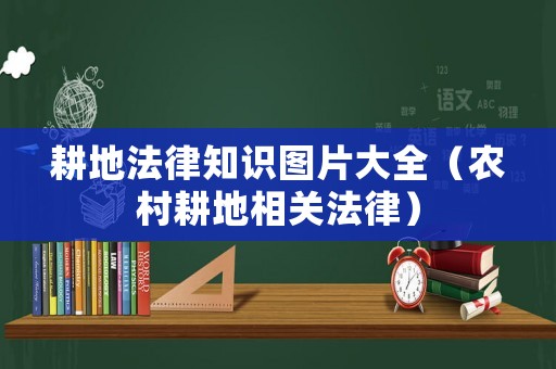 耕地法律知識圖片大全（農(nóng)村耕地相關(guān)法律）