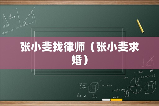 張小斐找律師（張小斐求婚）