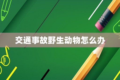 交通事故野生動物怎么辦