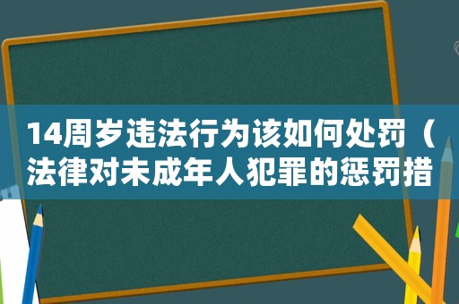 14周歲違法行為該如何處罰（法律對(duì)未成年人犯罪的懲罰措施）
