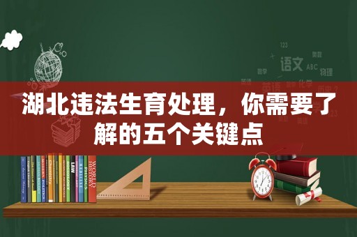湖北違法生育處理，你需要了解的五個關(guān)鍵點(diǎn)