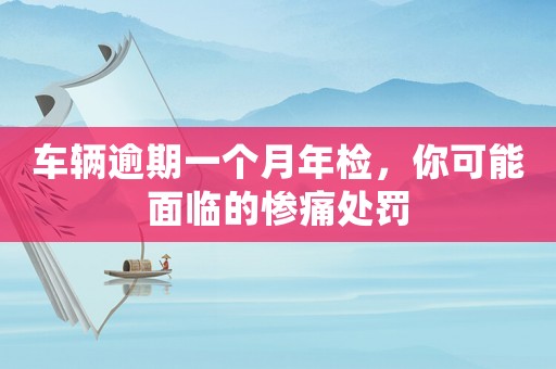 車輛逾期一個月年檢，你可能面臨的慘痛處罰