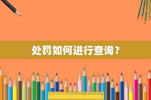 處罰如何進行查詢？
