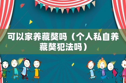 可以家養(yǎng)藏獒嗎（個人私自養(yǎng)藏獒犯法嗎）