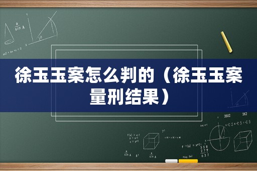 徐玉玉案怎么判的（徐玉玉案量刑結(jié)果）